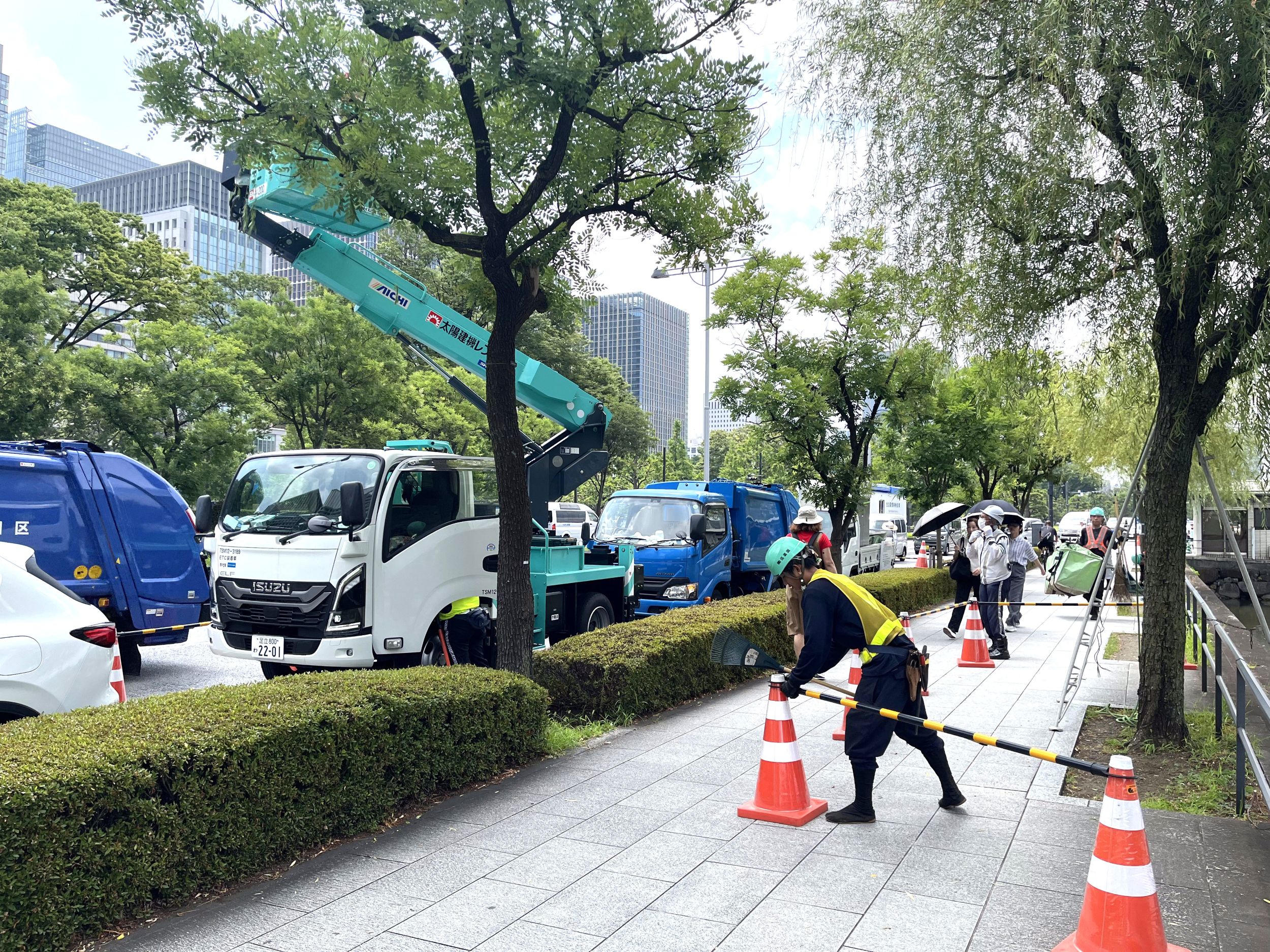 街路樹剪定委託（7千代田）