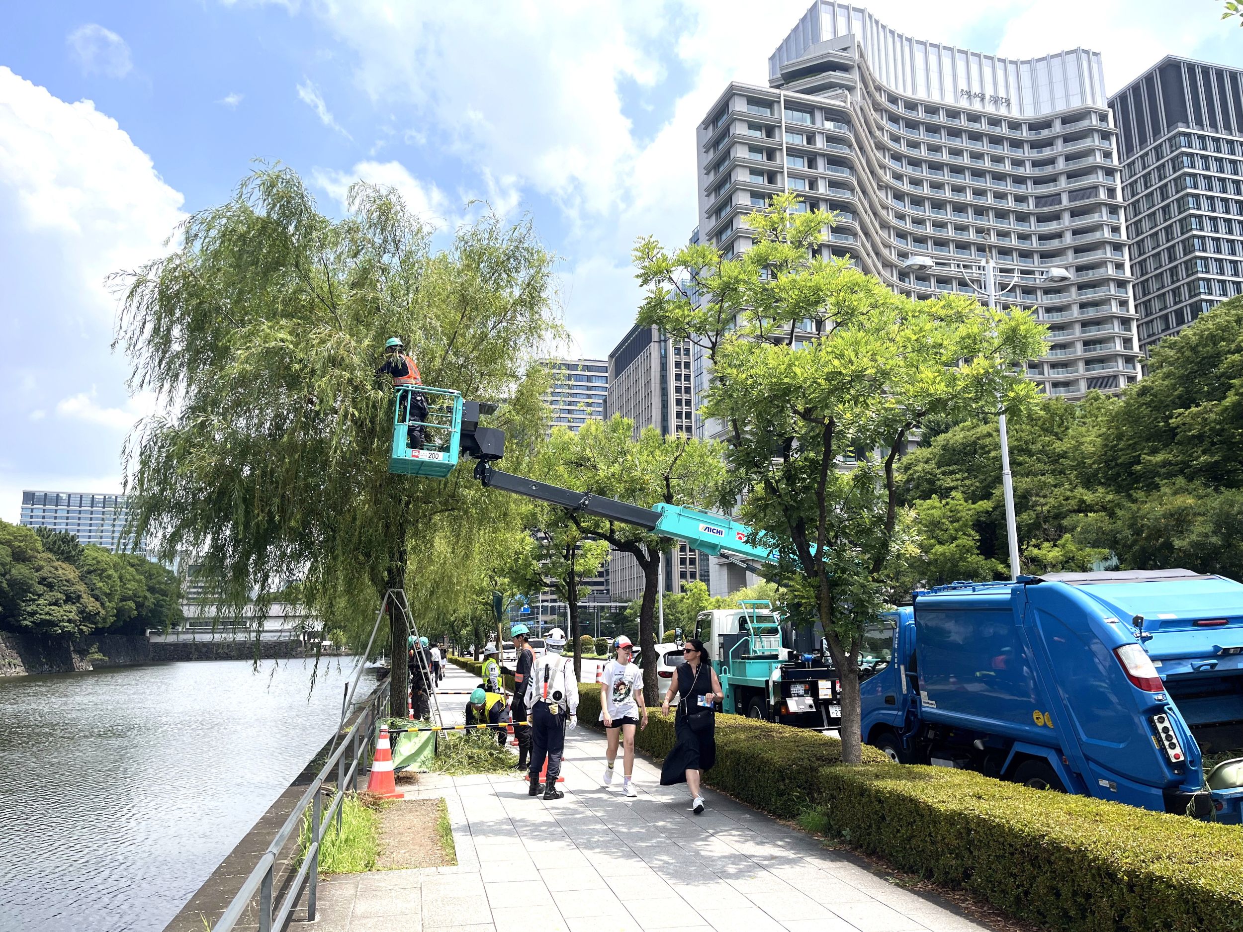 街路樹剪定委託（7千代田）
