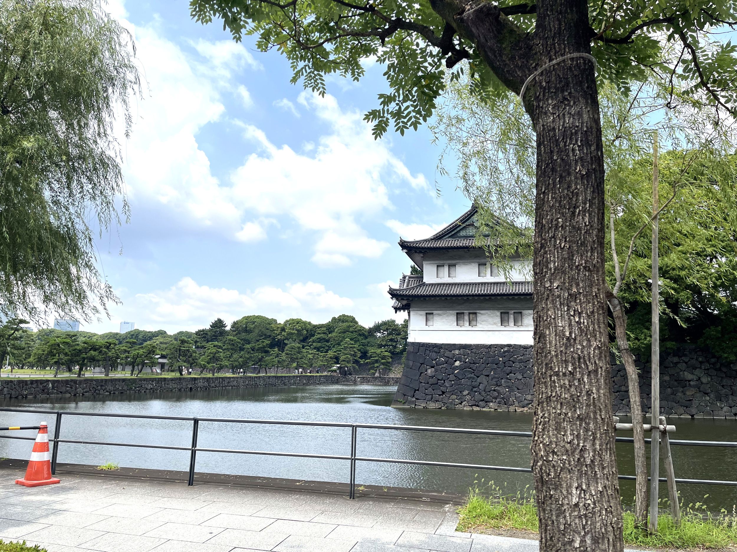 街路樹剪定委託（7千代田）