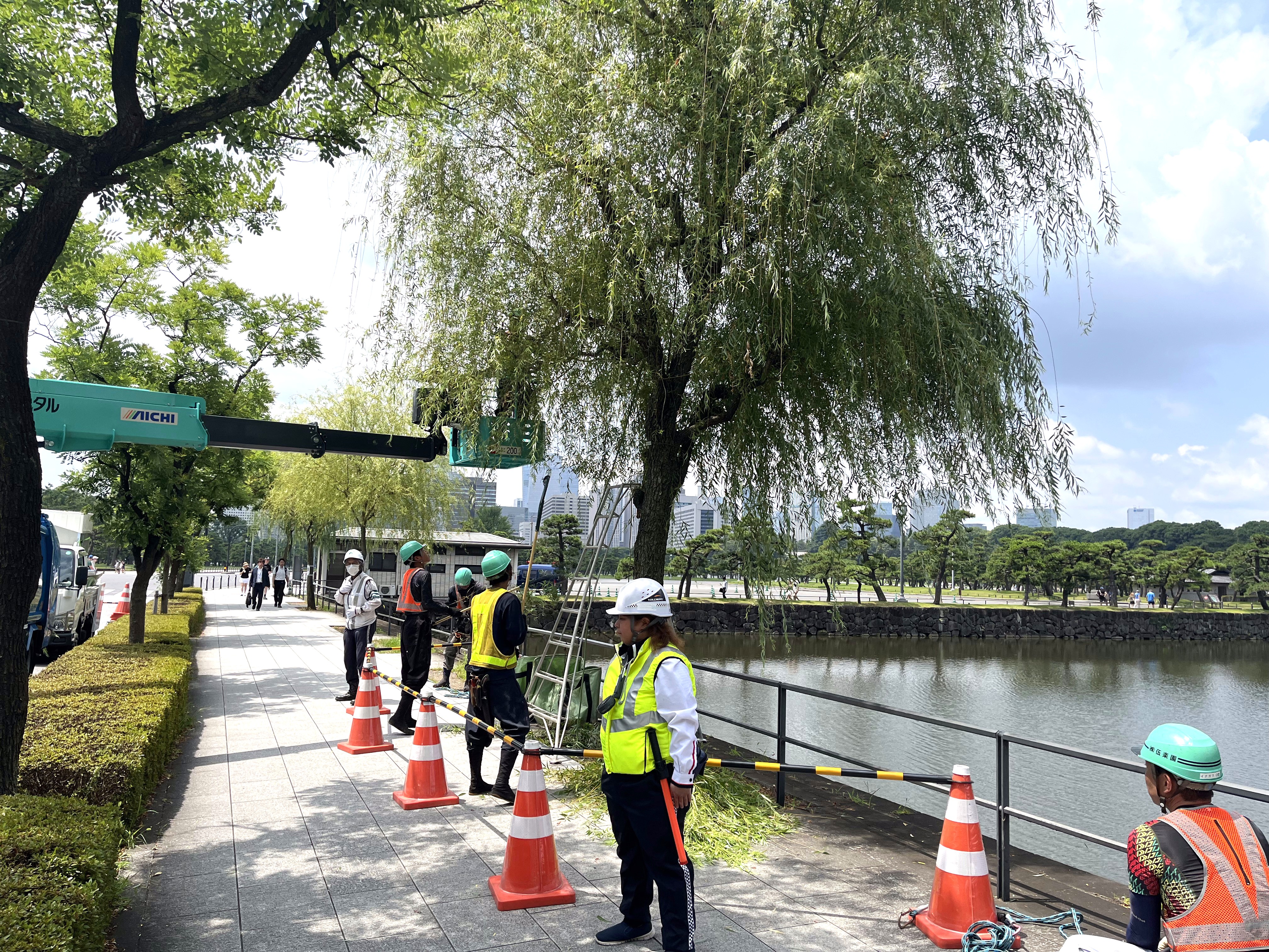 街路樹剪定委託（7千代田）