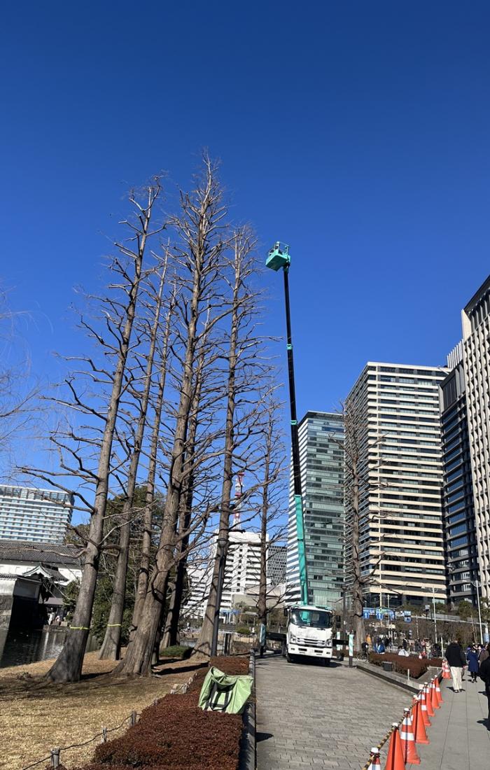 街路樹剪定委託（7千代田）