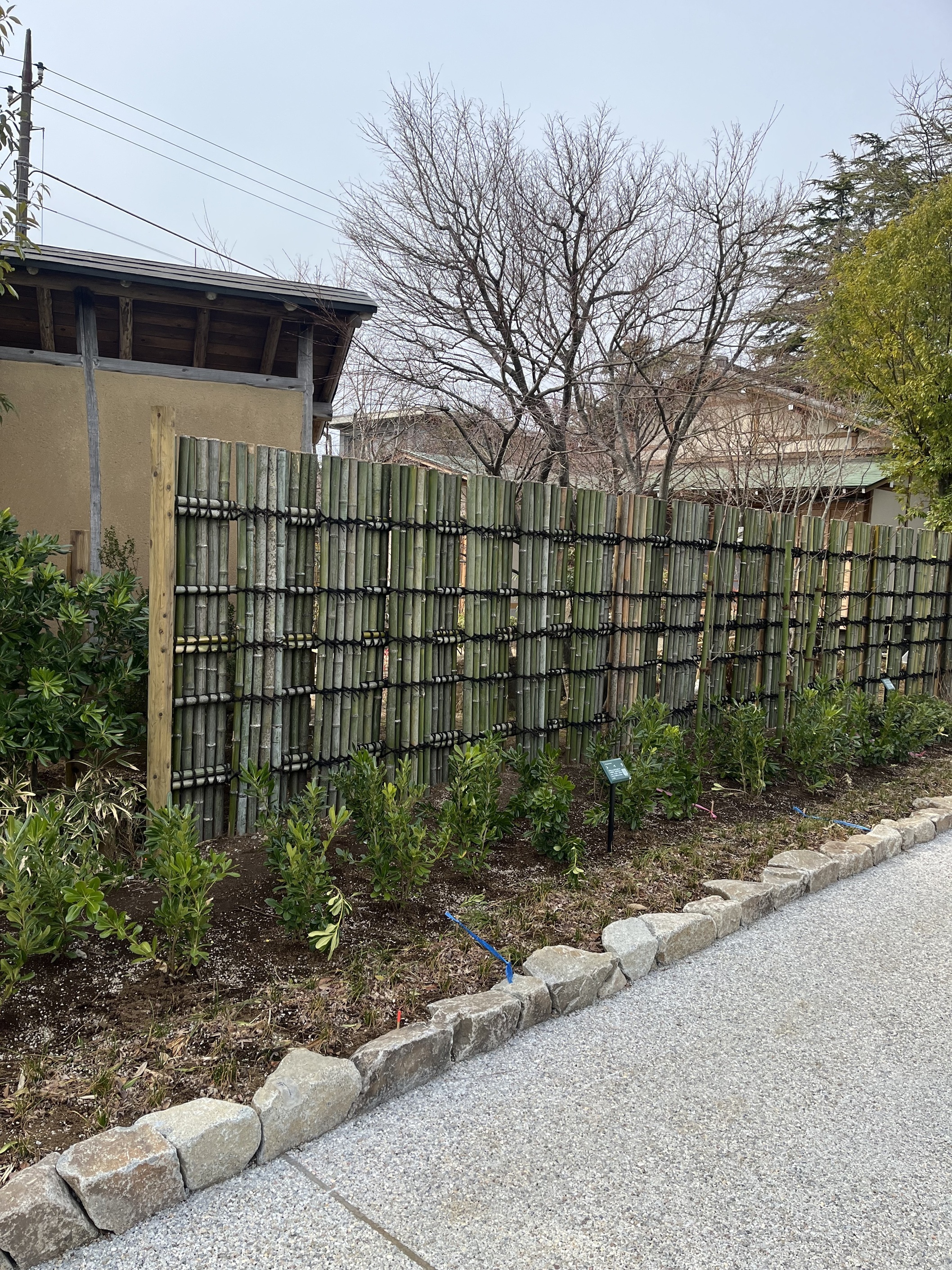 小岩公園改修工事その2