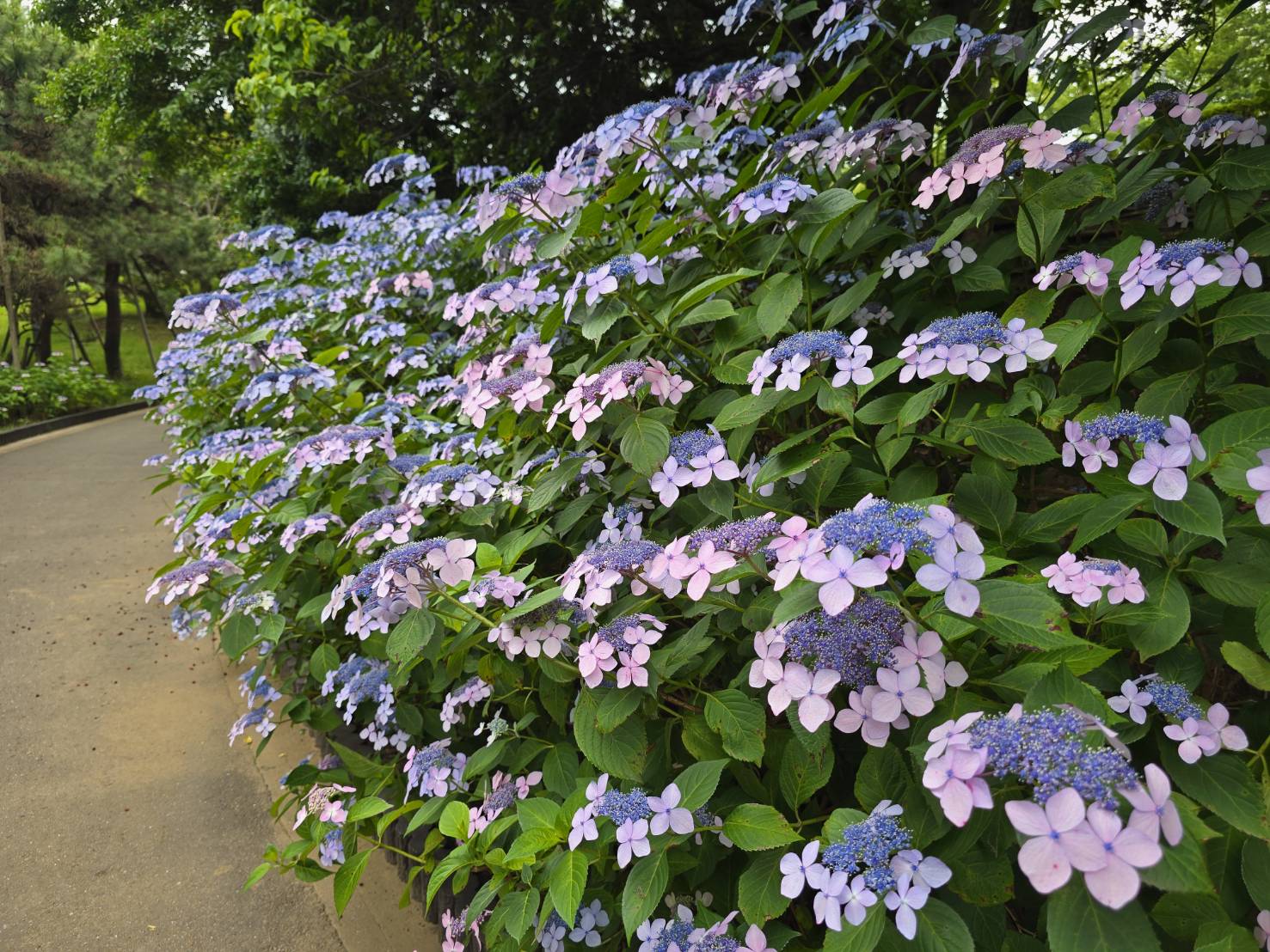 なぎさ公園ポニーランド