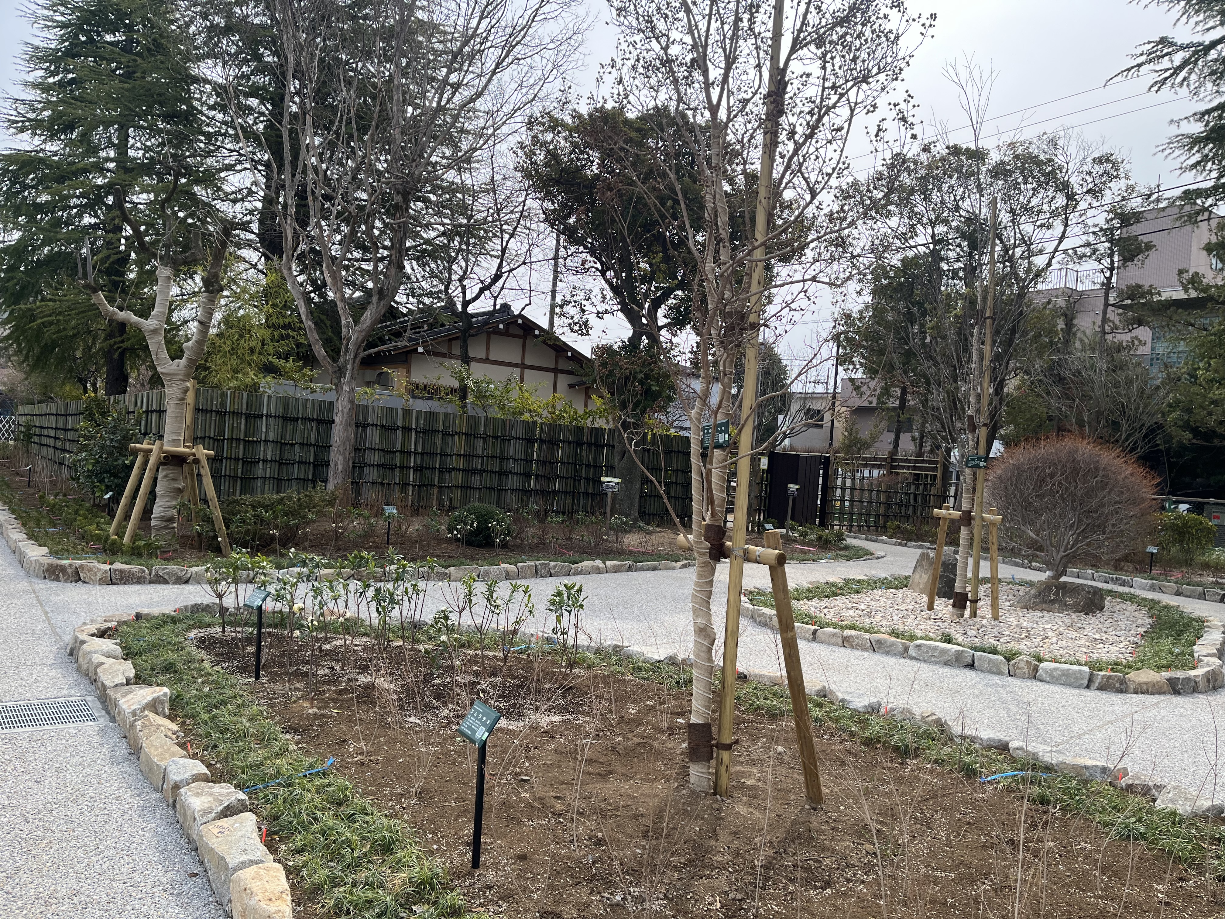 小岩公園改修工事その2